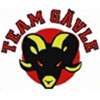 Team G�vle HF (Sue)