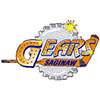 Saginaw Gears (Usa)